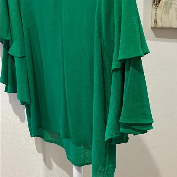 Anna & Ava Emerald Ruffle Sleeve Blouse - Picture 3 of 4